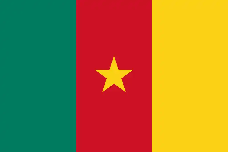 kamerun piala dunia 2022